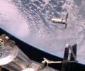      Cygnus 