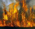 В результате лесного пожара в Португалии увеличилось число пострадавших