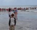 В США 80 человек в море создали живую цепь, чтобы спасти потопающее семейство