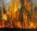 Самолет-амфибию Бе-200 задействовали на тушении крупных пожаров в Якутии