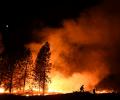 Во Франции 14-летний тинейджер признался, что сжег 300 гектаров леса