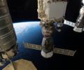       Cygnus  