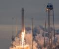           Cygnus