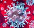 Coronavirus: австралийцы загружают приложение отслеживания контактов COVIDSafe