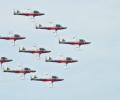      ,    Snowbirds   