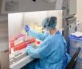 ВОЗ присит провести тесты на коронавирус за ноябрь-декабрь 2019 года