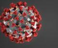 Ученые продемонстрировали 3D-модель, как коронавирус распространяется при кашле