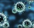 ВОЗ: число заражений COVID-2019 в мире превысило 400 тыс. ежедневно