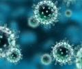 На Алтае включили психотерапию как реабилитация переболевших COVID-19