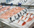 Китай требовал от РФ гарантии на предмет отсутствия коронавируса в рыбной продукции