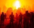  Греции грозит катастрофа беспрецедентных масштабов из-за лесных пожаров, опустошающих страну