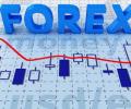     Forex:   