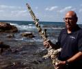 Дайвер нашел 900-летний меч крестоносца у побережья Израиля