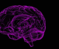 Исследование: новый имплантат мозга помог пациентам контролировать свое мышление