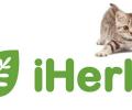 Аналог магазина iHerb в России