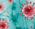 Объявление ВОЗ: пандемия коронавируса завершена