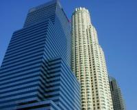 Citigroup      50 