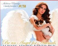     PETA