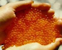 В столичной мэрии установили автоматы по продаже красной икры