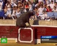 В Испании взбешенный бык ранил 30 зрителей