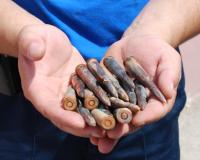 В «Домодедово» у пассажирки обнаружили сумку с боеприпасами