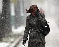 Москву накроет шквальный ветер