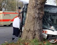 На Ставрополье автобус с пассажирами врезался в дерево