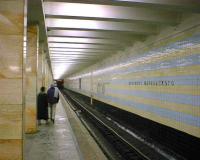 В московском метро скончался гастарбайтер, упавший под колеса поезда