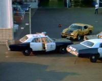 Полиция Швейцарии застрелила водителя автомобиля Ford Mustang с российскими номерами