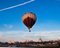 Обманутые дольщики запустили в космос котенка с посланием Владимиру Путину