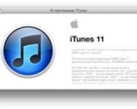 Apple      iTunes