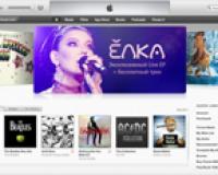 Apple iTunes Store      