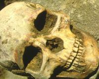 Шок: на чердаке одной из школ города Архангельска обнаружен мешок с пятью черепами