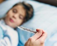 Свиной грипп обнаружен у 33-х жителей Камчатки: количество заражённых постоянно растёт