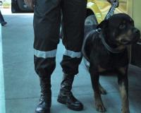 Преступники, ограбившие ломбард, выбросили украшения на 5,5 миллионов рублей прямо на дорогу