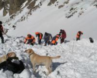 Эксперты: дети, попавшие под лавину в Туве, умерли не сразу