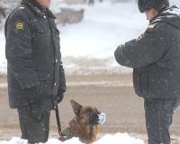 МВД: 13-летняя школьница пропала в Магнитогорске после прогулки с одноклассником