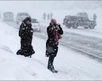 Сильная пурга отменила все свадьбы на Камчатке