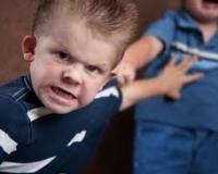 Приёмные родители вернули 8-летнего садиста обратно в детдом