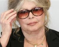 Защитница животных Брижит Бардо просит помощи в поисках любимой кошки