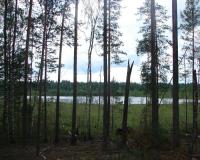      6 -  