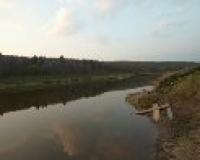 Малыш утонул в реке Алтая