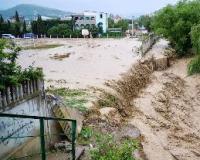 Сель отрезал от мира жителей села Кокшаровка в Приморье: затоплено 400 подворий