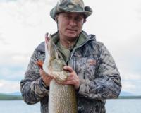 Фото Путина с щукой сделано много лет назад