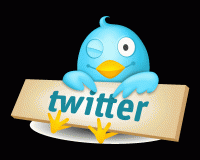  Twitter          