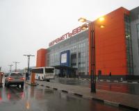 Россиянка, сбежавшая из Норвегии с дочкой, покинула транзитную зону «Шереметьево»