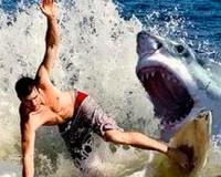 На Гавайях акула попыталась откусить ногу 16-летнему серфингисту