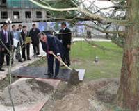 Символ независимости Таджикистана засох