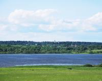 В Подмосковье полиция нашла пропавших утопленников девятилетней давности