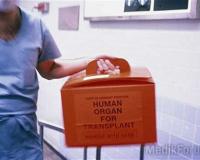 Испанские врачи хотят забрать на органы российского мальчика